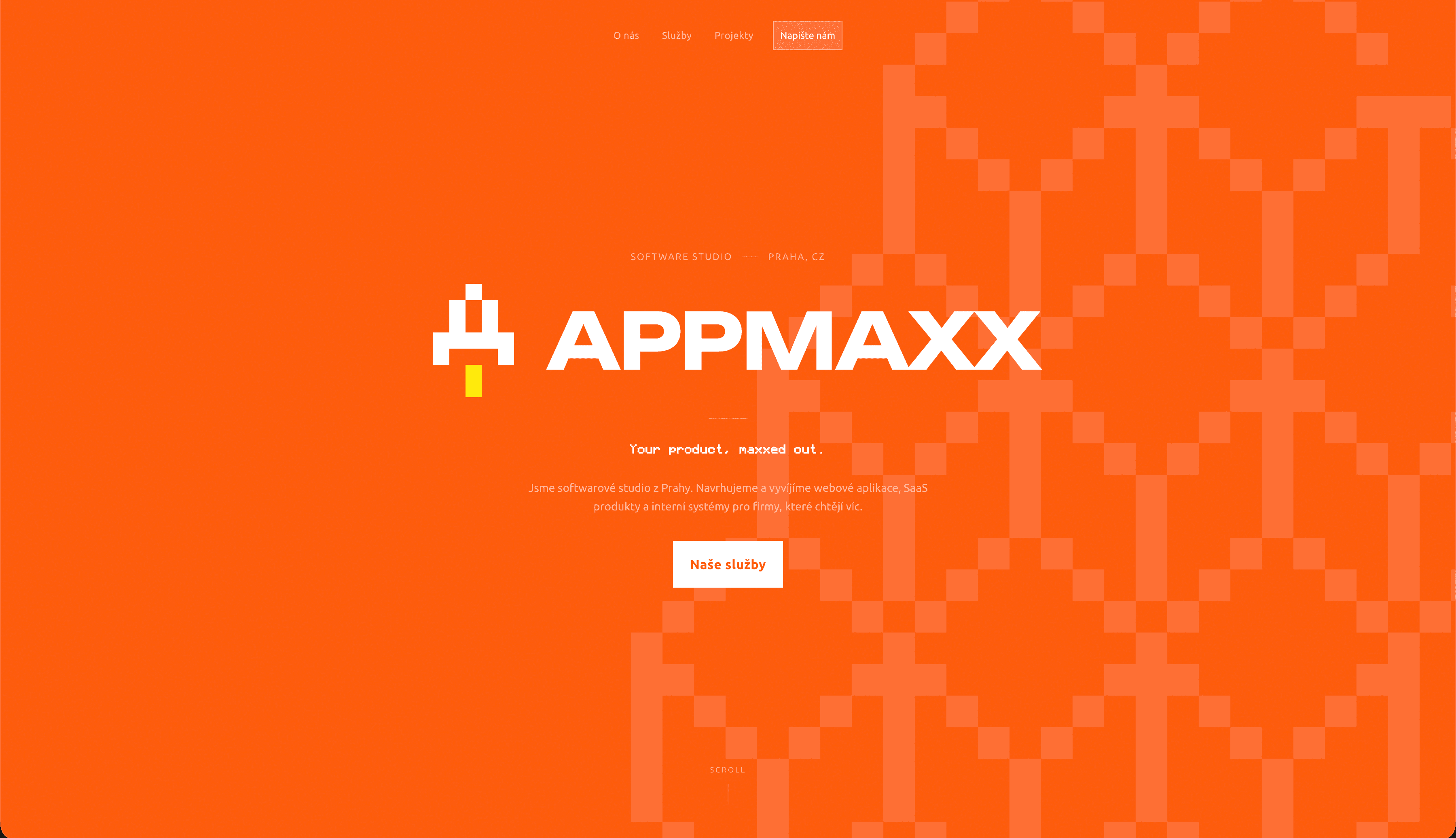 Appmaxx landing page screenshot